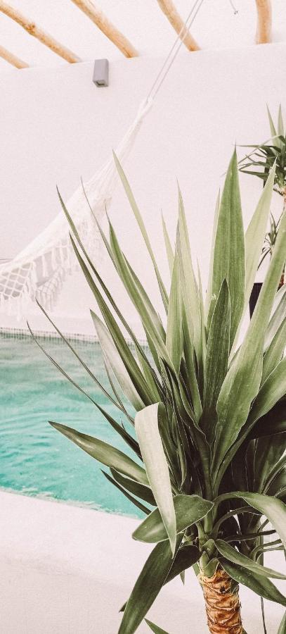 Ronda City Wall Apartments With Private Pool エクステリア 写真