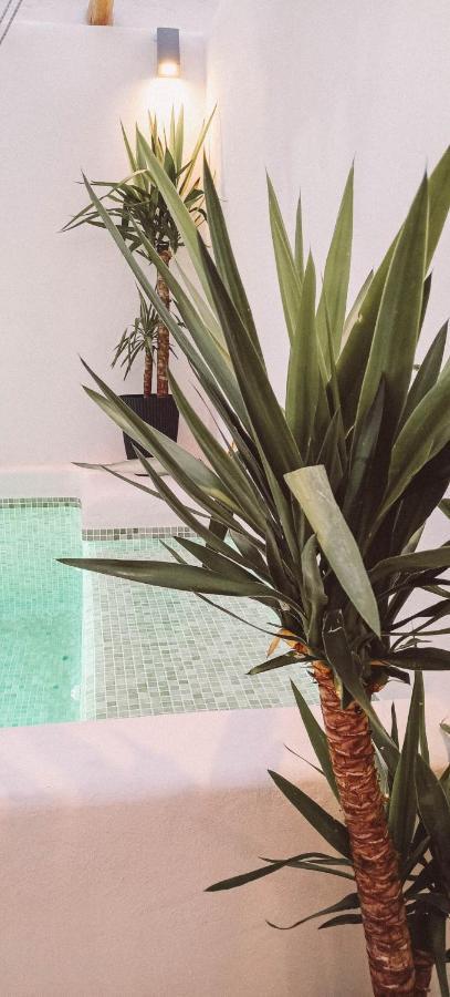 Ronda City Wall Apartments With Private Pool エクステリア 写真